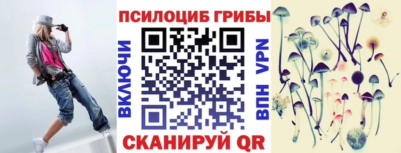 darknet как зайти  Вилючинск  Псилоцибиновые грибы ЛСД 